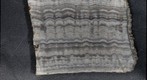 Precipitation Lamellae
