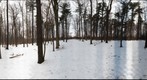 Dairy Bush GigaPan - 175 – January 09 2013 