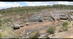 Jane brook valley, Hovea Falls - John Forrest National Park