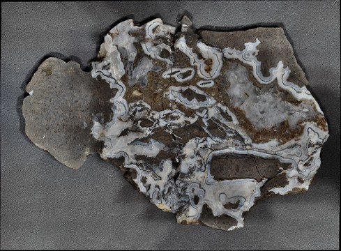 121349-489x360