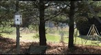 Shade Garden in the Winter