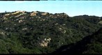Oyster Ridge