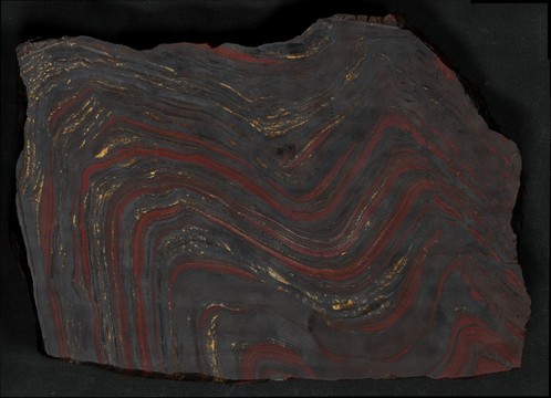 121579-498x360