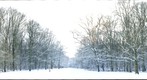 Snow at Kralingse Bos Rotterdam