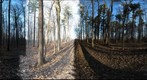 Dairy Bush GigaPan - 176 – January 16 2013 