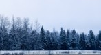 2013-01-16 Winter Wonder Land