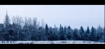 121734-400x189