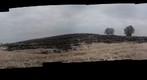 Cannock Chase