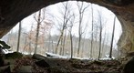 Bell Smith Springs