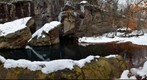 Bell Smith Springs