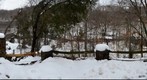 Bell Smith Springs