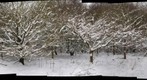 Snowscape