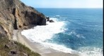 Seals at Point Reyes