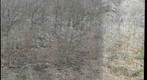 Wills Mountain, The Narrows, Cumberland, MD