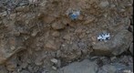 gullyrockbank2