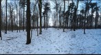 Dairy Bush GigaPan - 177 – January 23 2013 