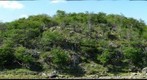 Tierra del Fuego National Park