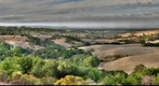 Vista Hill - Palo Alto Foothills Park