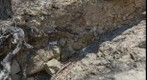 Werribee gully rockbank 