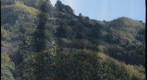 First Gigapan Test @ Sena
