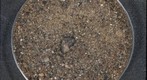 Sediment from Wadi Al Khames, Oman 