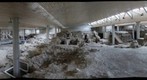 Akrotiri (Santorini), ancient Thera