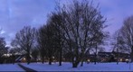 Molenpark Haarlem ( the Netherlands )