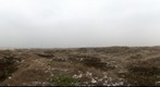 Dunes at winter