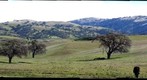 Poppy Ridge