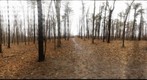 Dairy Bush GigaPan - 178 – January 30 2013 