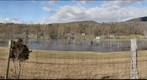 Passage Creek in Flood II