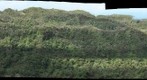 Koloa #1