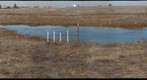 Mather Field Site