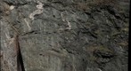 Catoctin Metabasalt at Point of Rocks Maryland