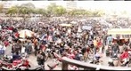 Caravana del Zorro 2013A