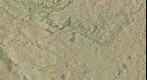 Superposición de ortofotografía (75%) y mapa cartográfico (35%) de un área de 40x40 Kms centrada en La Guardia (Toledo)