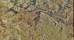 Ortofoto de 1,6 Gpx de un área de 20x20 kms con centro en La Guardia (Toledo). Resolución 0,5m/pixel