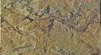 Ortofoto de 3,6 Gpx de un área de 30x30 Kms con centro en La Guardia (Toledo). Resolución 0,5m/pixel