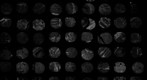 Human Liver Tissue Microarray (117 cores)