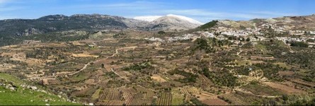 Golan...