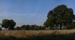Greenwich Park
