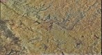 Ortofoto de 10,12 Gpx de un área de 50x50 Kms centrada en La Guardia (Toledo). Resolución 0,5m/pixel. Fichero png 24 bits 