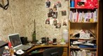 collection 6