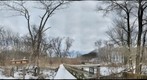 Frick Park Emerald Ash Borer Site - Commercial Ave