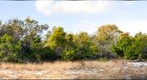 Walton Scrub