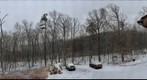 Side Yard, February 8, 2013