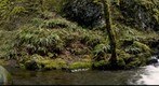 Multnomah Creek