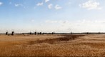 Kinderdijk | Dutch Landscape