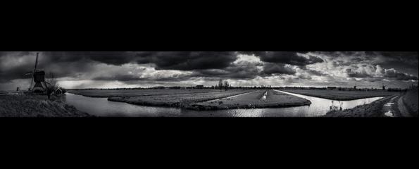 123161-595x240