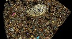 Chondrite meteorite (NWA 7308) thin section in cross polarised light